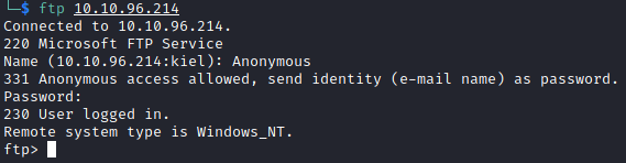 Brainstorm Anonymous FTP