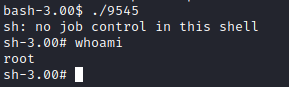 Kioptrix Level 1.1 root shell