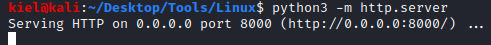 Kioptrix Level 1.1 python3 http server