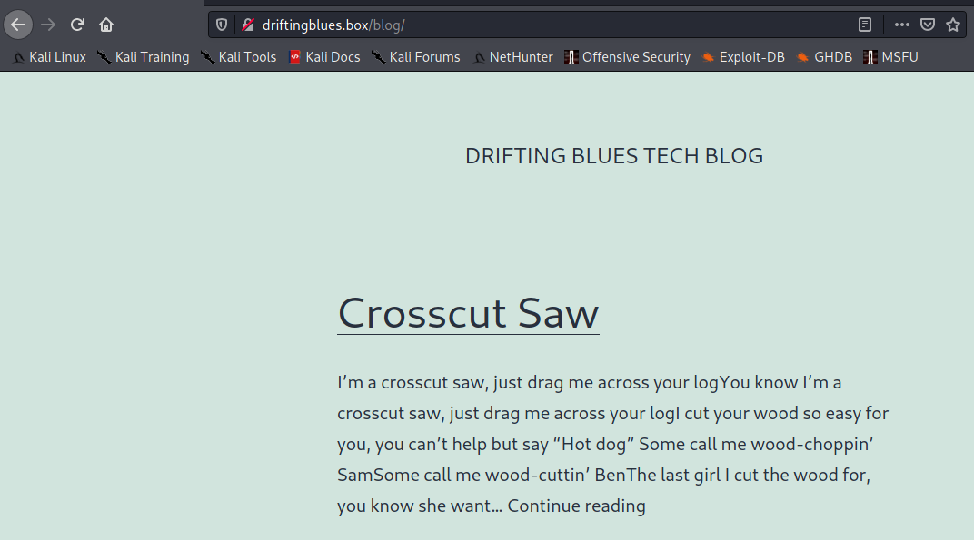 Drifting Blues 2 /blog/ website properly loaded