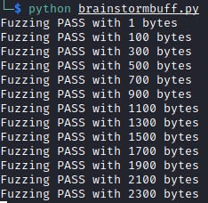 Brainstorm buffer overflow