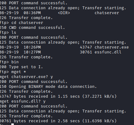 Brainstorm download FTP file