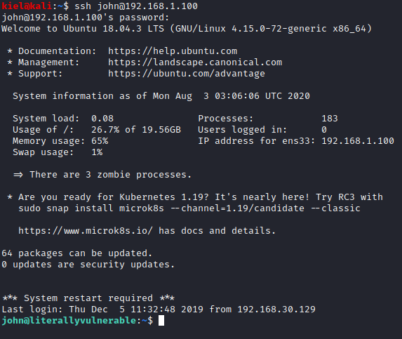 Literally Vulnerable SSH