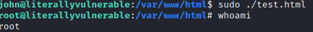 Literally Vulnerable root shell