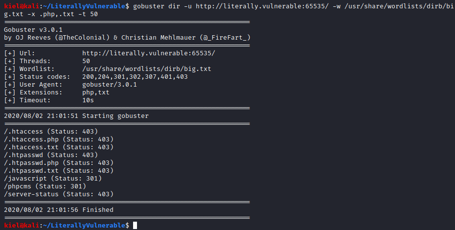 Literally Vulnerable gobuster port 65535