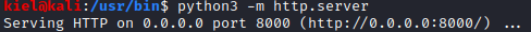 Misdirection python3 http.server
