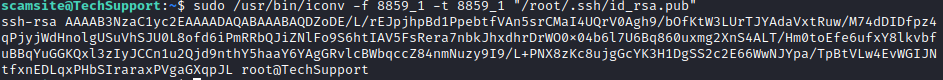 TechSupp0rt1 view root id_rsa.pub