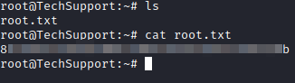 TechSupp0rt1 root flag