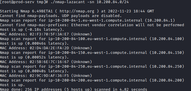 Wreath copy nmap ping sweep