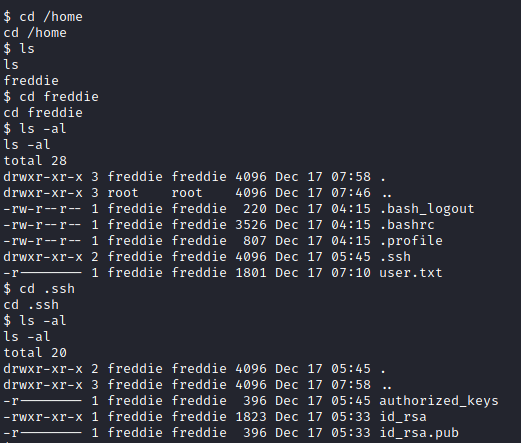 Drifting Blues 2 enumerate /home directory